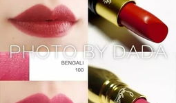 萝卜丁口红什么牌子,探寻独特魅力的国产美妆品牌